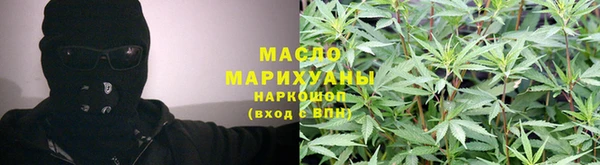 сатива Лабытнанги