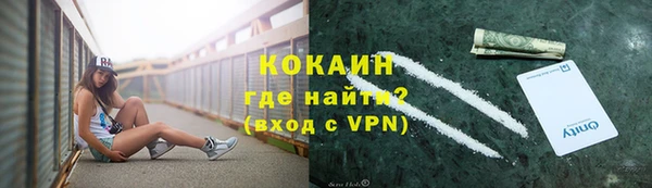 сатива Лабытнанги