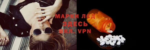 сатива Лабытнанги