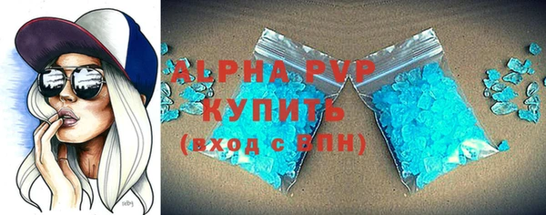 сатива Лабытнанги