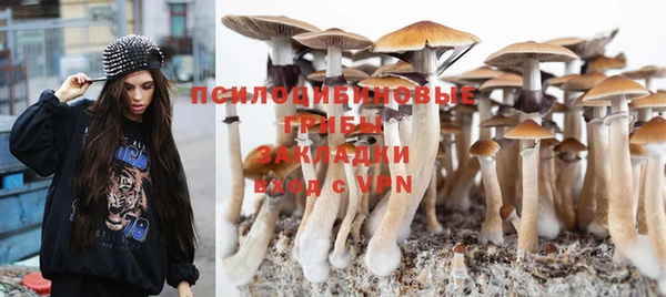 mdma Лагань