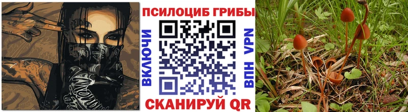 Псилоцибиновые грибы MAGIC MUSHROOMS  ОМГ ОМГ   Тимашёвск  дарнет шоп 